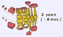 3才